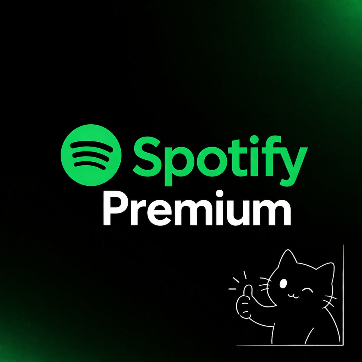 Spotify Premium 3 meses